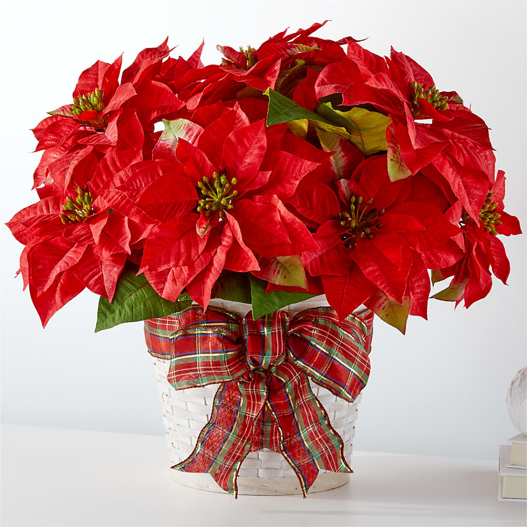 Happiest Holidays Poinsettia – Floreria Reno, Reno NV
