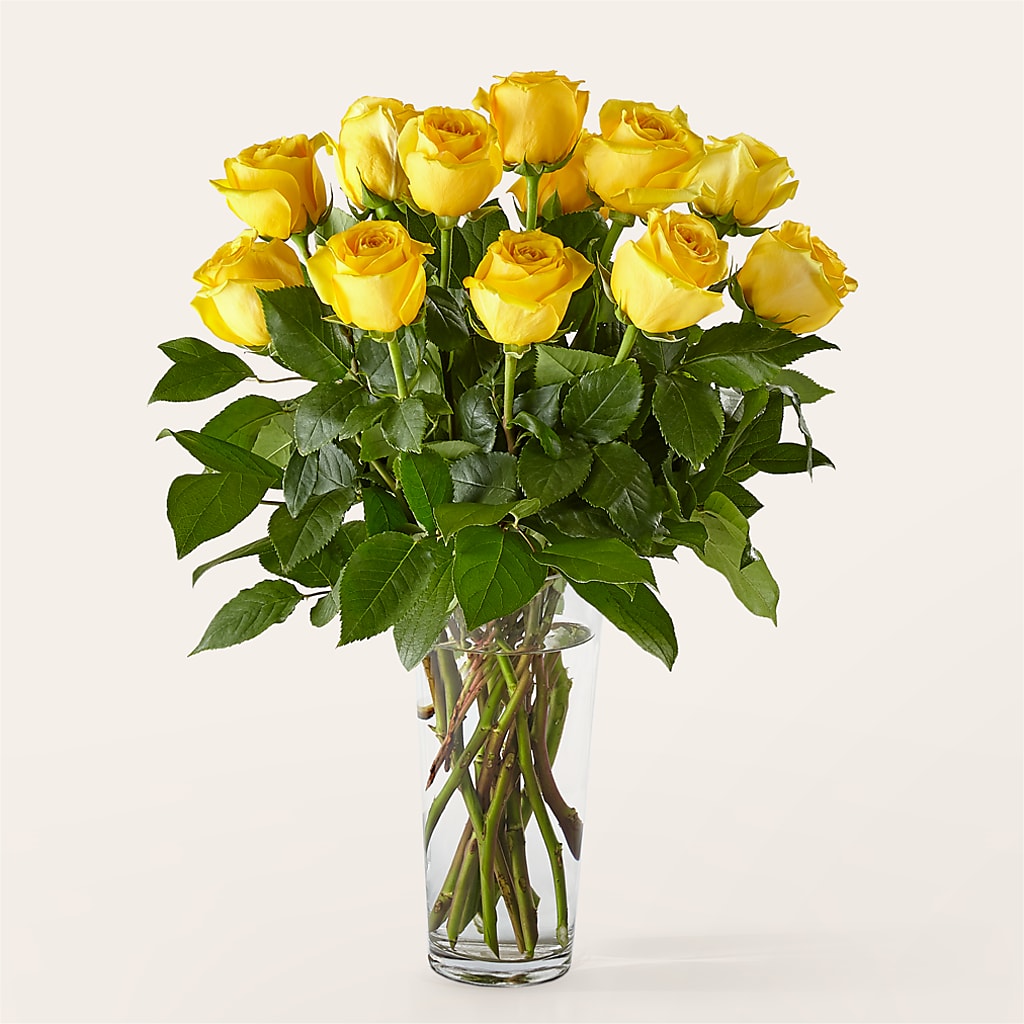 Long Stem Yellow Rose Bouquet – Floreria Reno, Reno NV