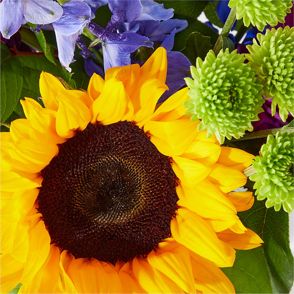 Catching Rays Bouquet – Floreria Reno, Reno NV