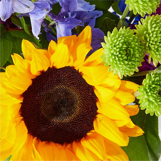 Catching Rays Bouquet – Floreria Reno, Reno NV