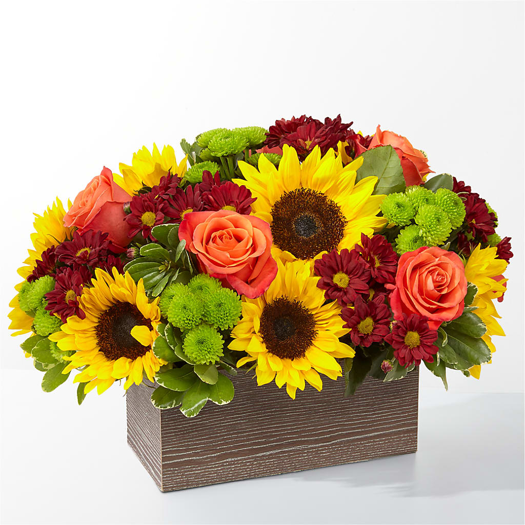 Happy Harvest Garden – Floreria Reno, Reno NV