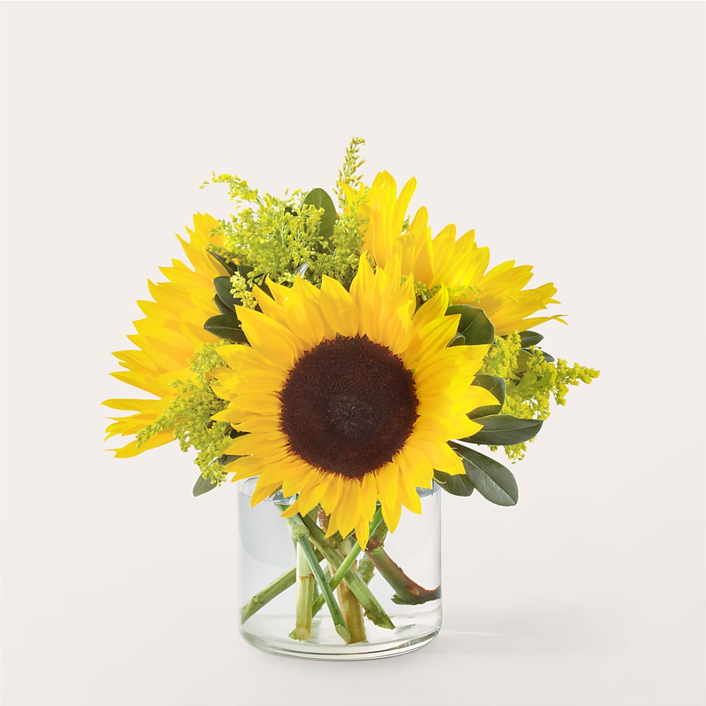 Beaming Sunflower Bouquet – Floreria Reno, Reno NV