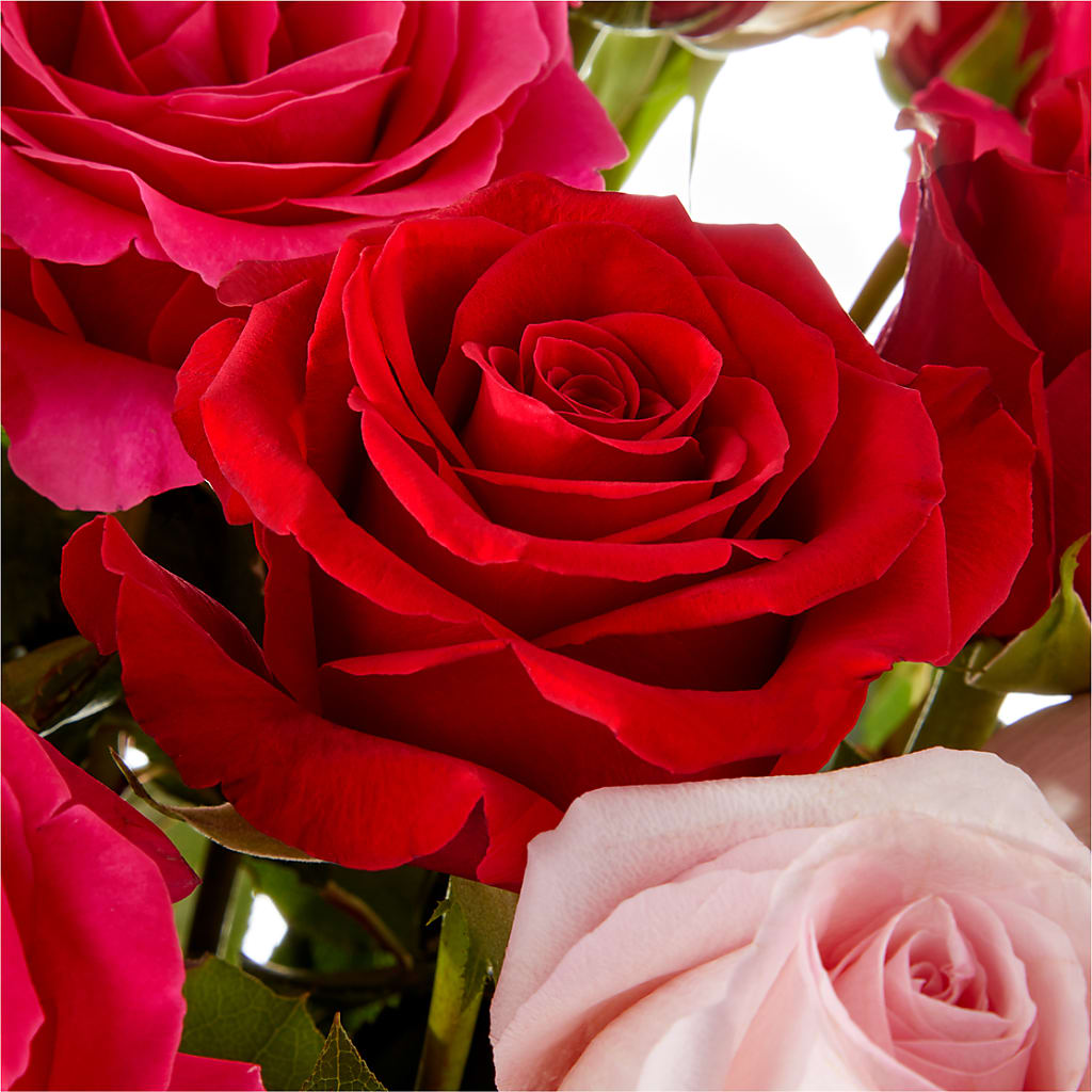 Love Notes Rose Bouquet – Floreria Reno, Reno NV