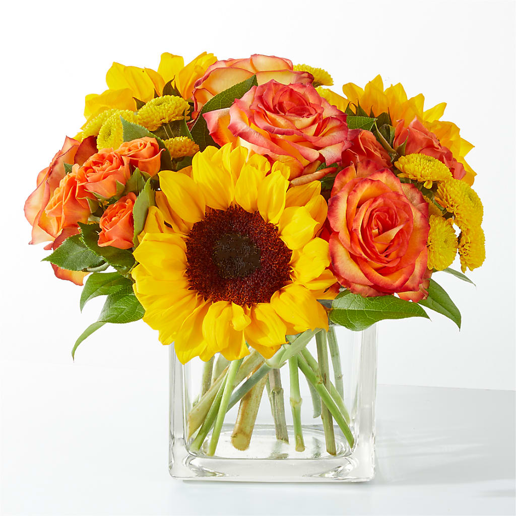 Picnic in the Park Bouquet – Floreria Reno, Reno NV