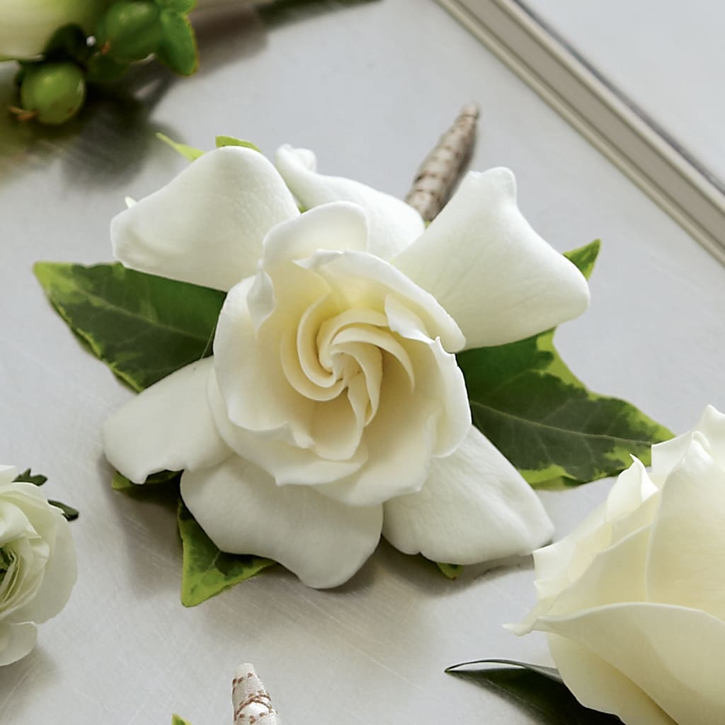 Gardenia Boutonniere – Floreria Reno, Reno NV