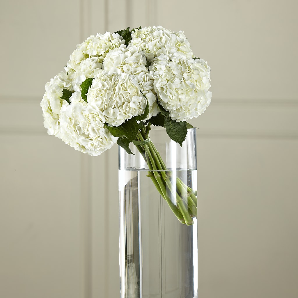 White Hydrangea Hand-Tied Bouquet – Floreria Reno, Reno NV