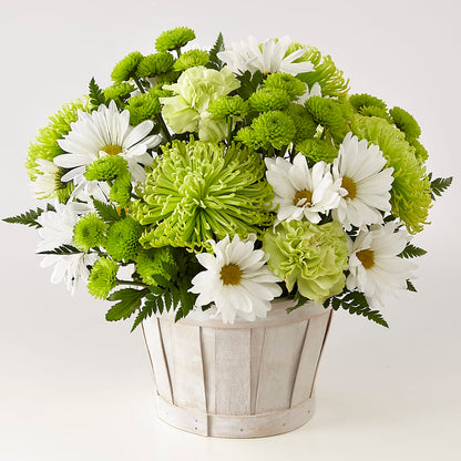 Lucky Charm Basket (Standard) –  Floreria Reno, Reno NV
