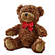 Adorable Plush Bear –  Floreria Reno, Reno NV