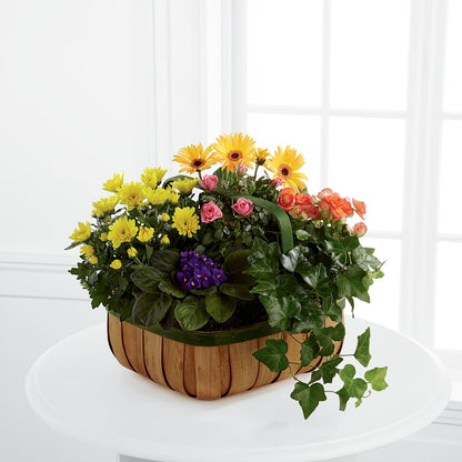 Gentle Blossoms Basket –  Floreria Reno, Reno NV