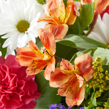 Oopsie Daisy Box Bouquet –  Floreria Reno, Reno NV