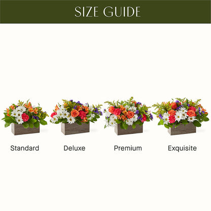 Oopsie Daisy Box Bouquet –  Floreria Reno, Reno NV