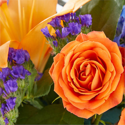 Radiant Citrus Box Bouquet –  Floreria Reno, Reno NV