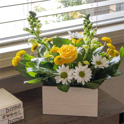 Sun Salutation Box Bouquet –  Floreria Reno, Reno NV
