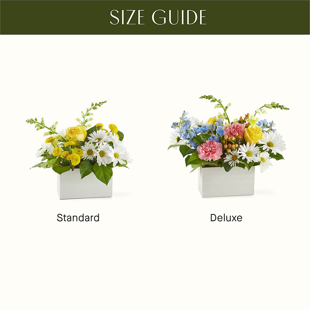Sun Salutation Box Bouquet –  Floreria Reno, Reno NV