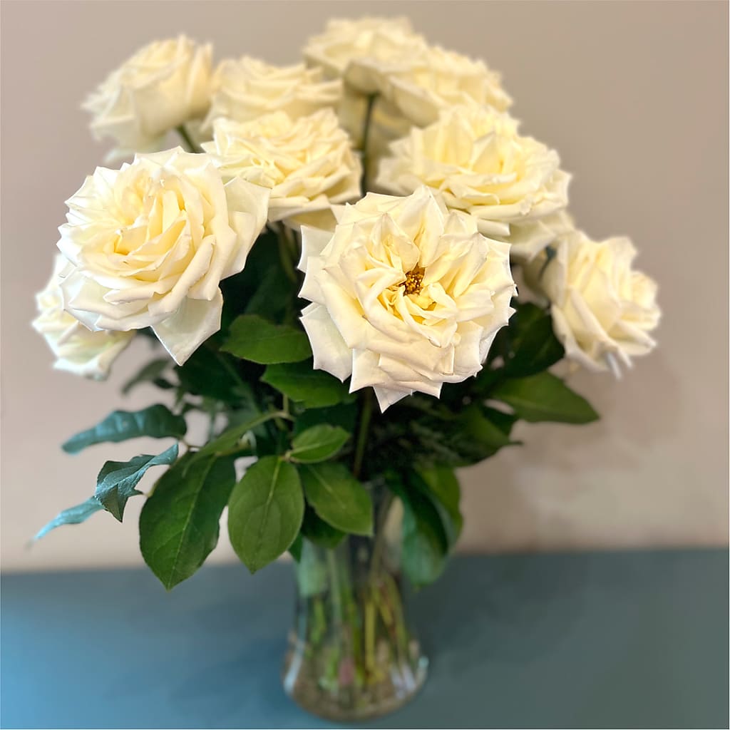 Long Stem Yellow Rose Bouquet –  Floreria Reno, Reno NV