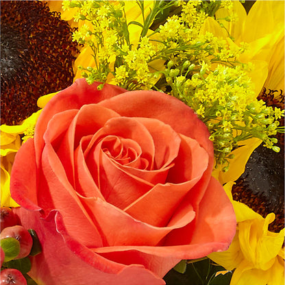 Pick of the Patch Pumpkin Bouquet –  Floreria Reno, Reno NV