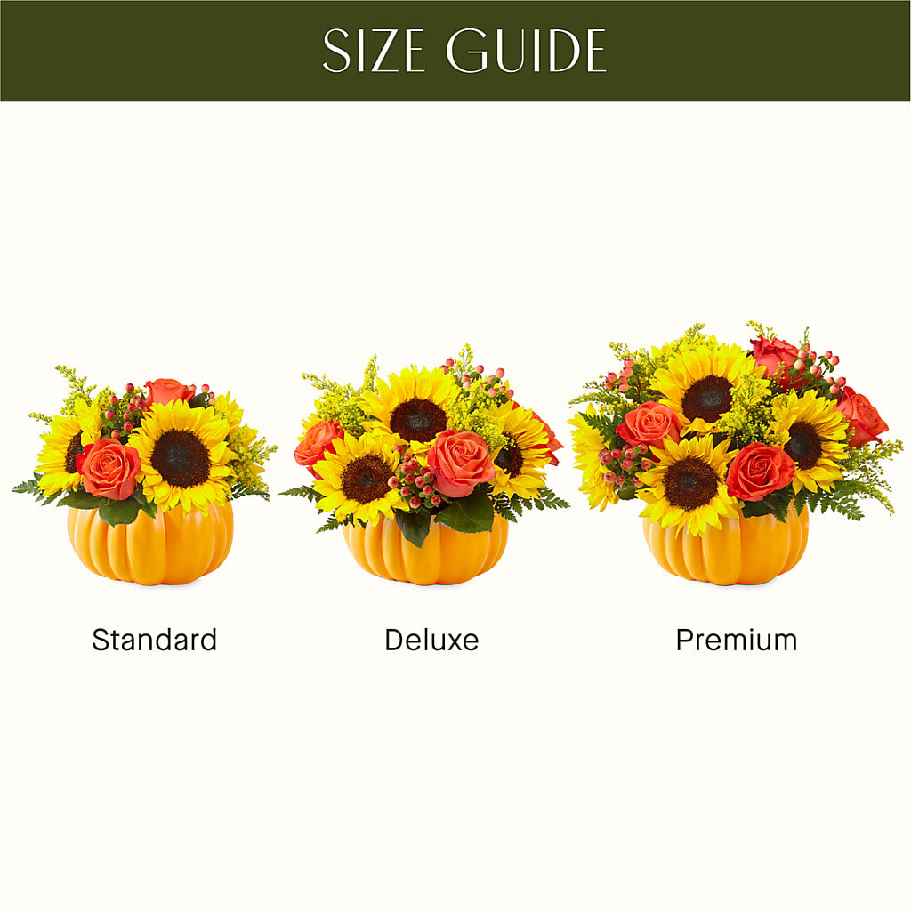 Pick of the Patch Pumpkin Bouquet –  Floreria Reno, Reno NV