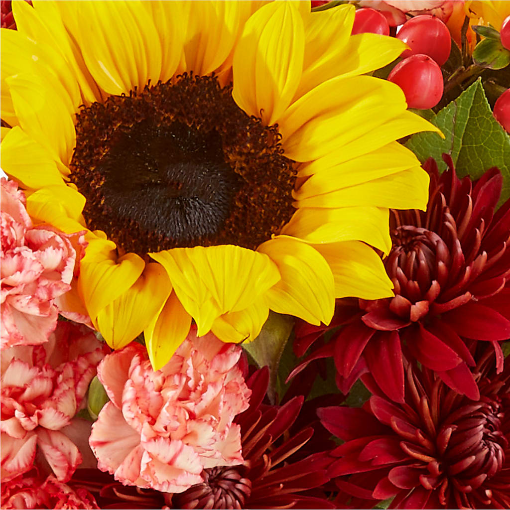 Fresh Cider Bouquet –  Floreria Reno, Reno NV