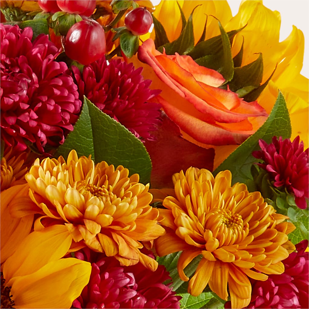 Sweater Season - A Florist Original –  Floreria Reno, Reno NV