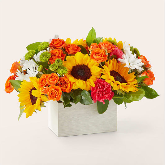 Sun-drenched Blooms Box Bouquet –  Floreria Reno, Reno NV