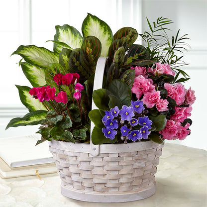Peaceful Garden Planter –  Floreria Reno, Reno NV