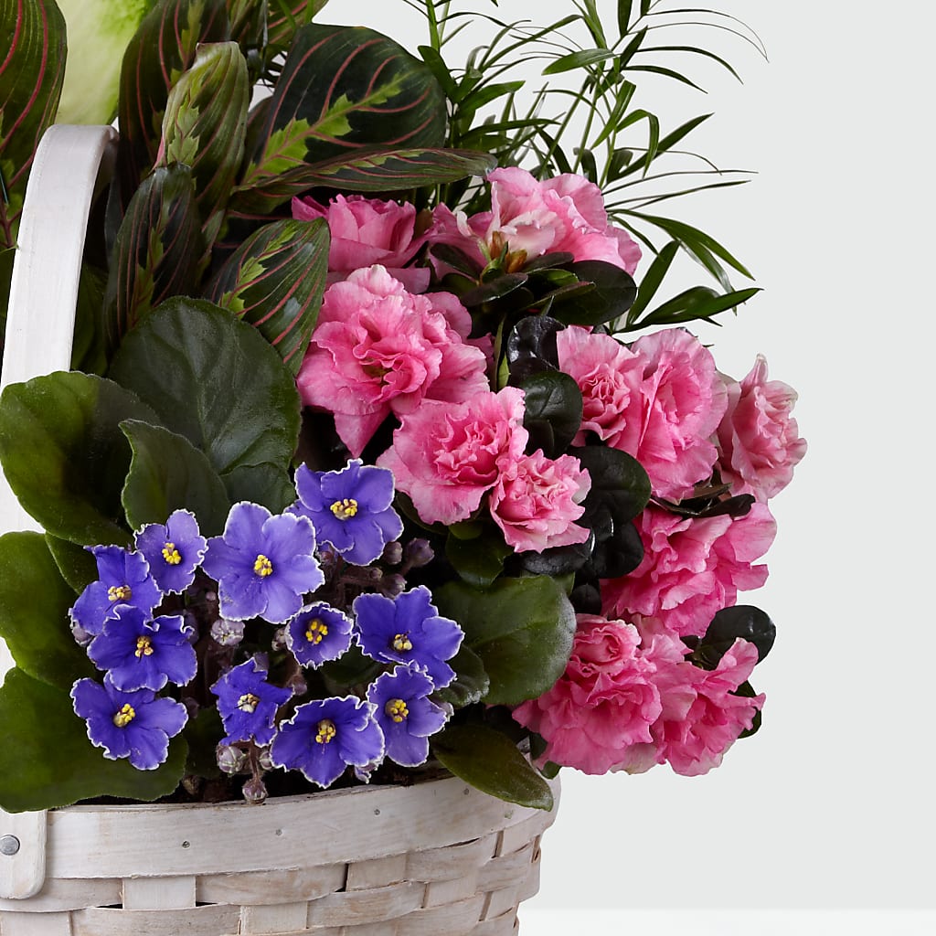 Peaceful Garden Planter –  Floreria Reno, Reno NV