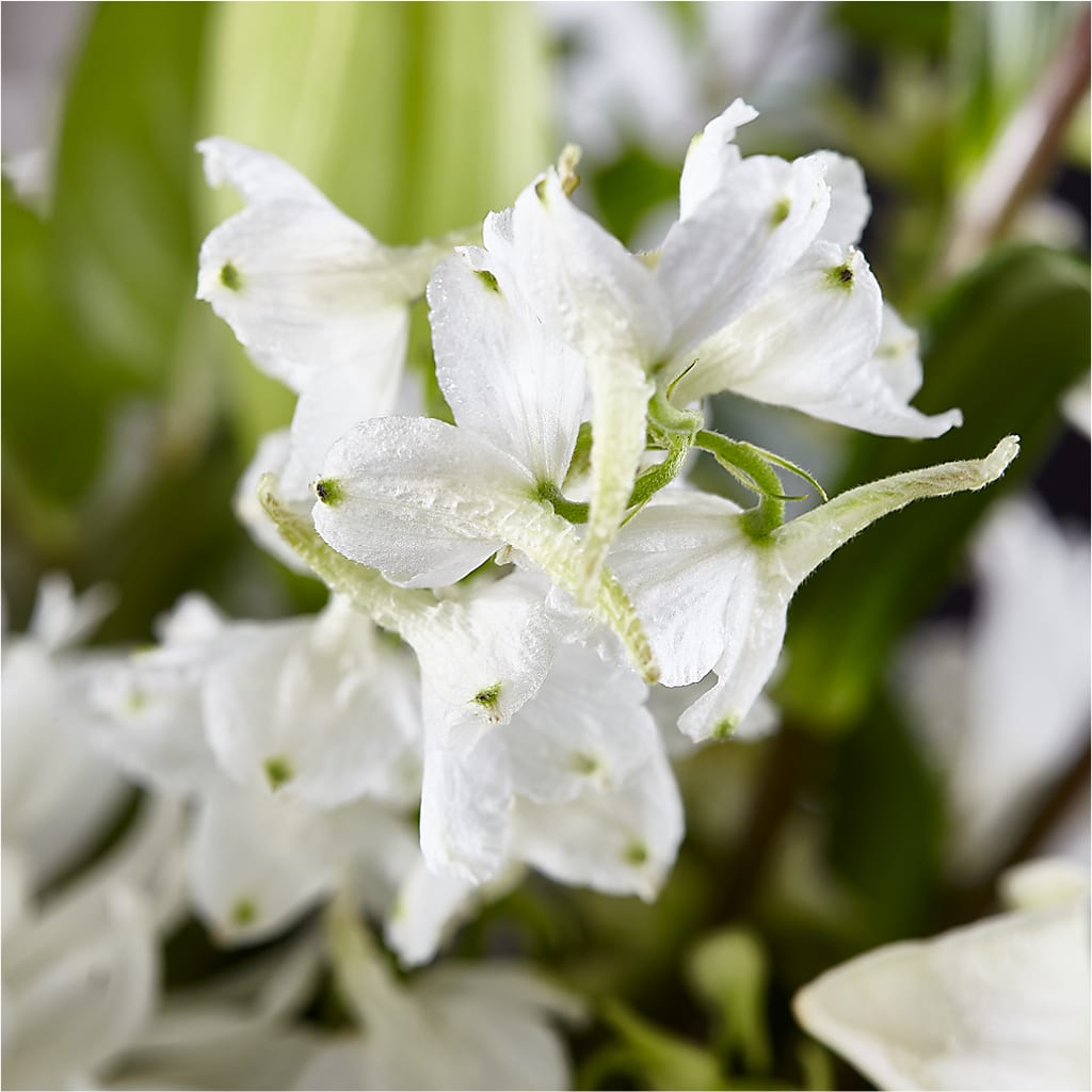 Classic Ivory – A Florist Original –  Floreria Reno, Reno NV