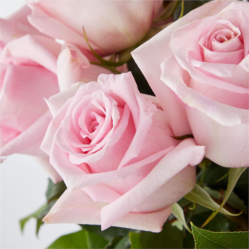Picture Perfect Pink Rose Bouquet –  Floreria Reno, Reno NV