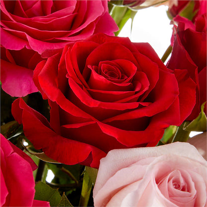 Love Notes Rose Bouquet –  Floreria Reno, Reno NV