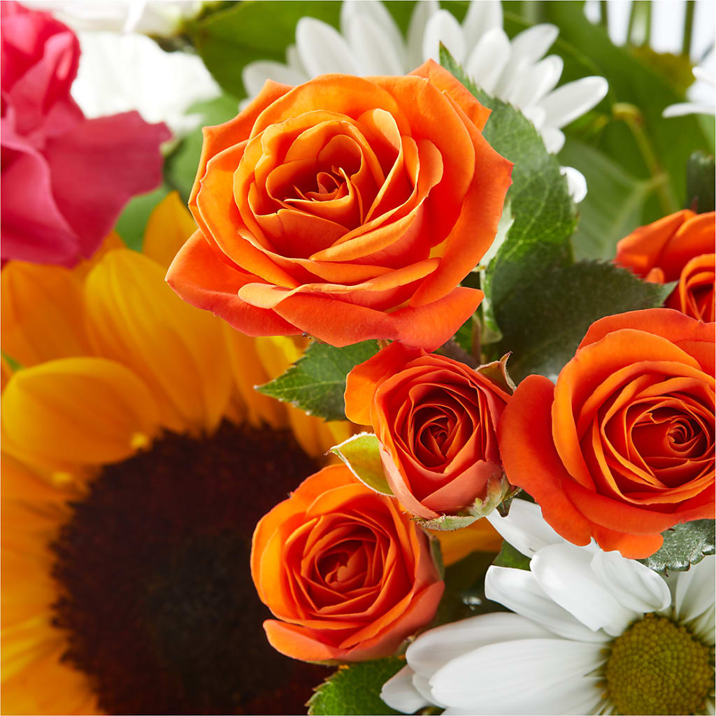 Sun-drenched Blooms Bouquet –  Floreria Reno, Reno NV