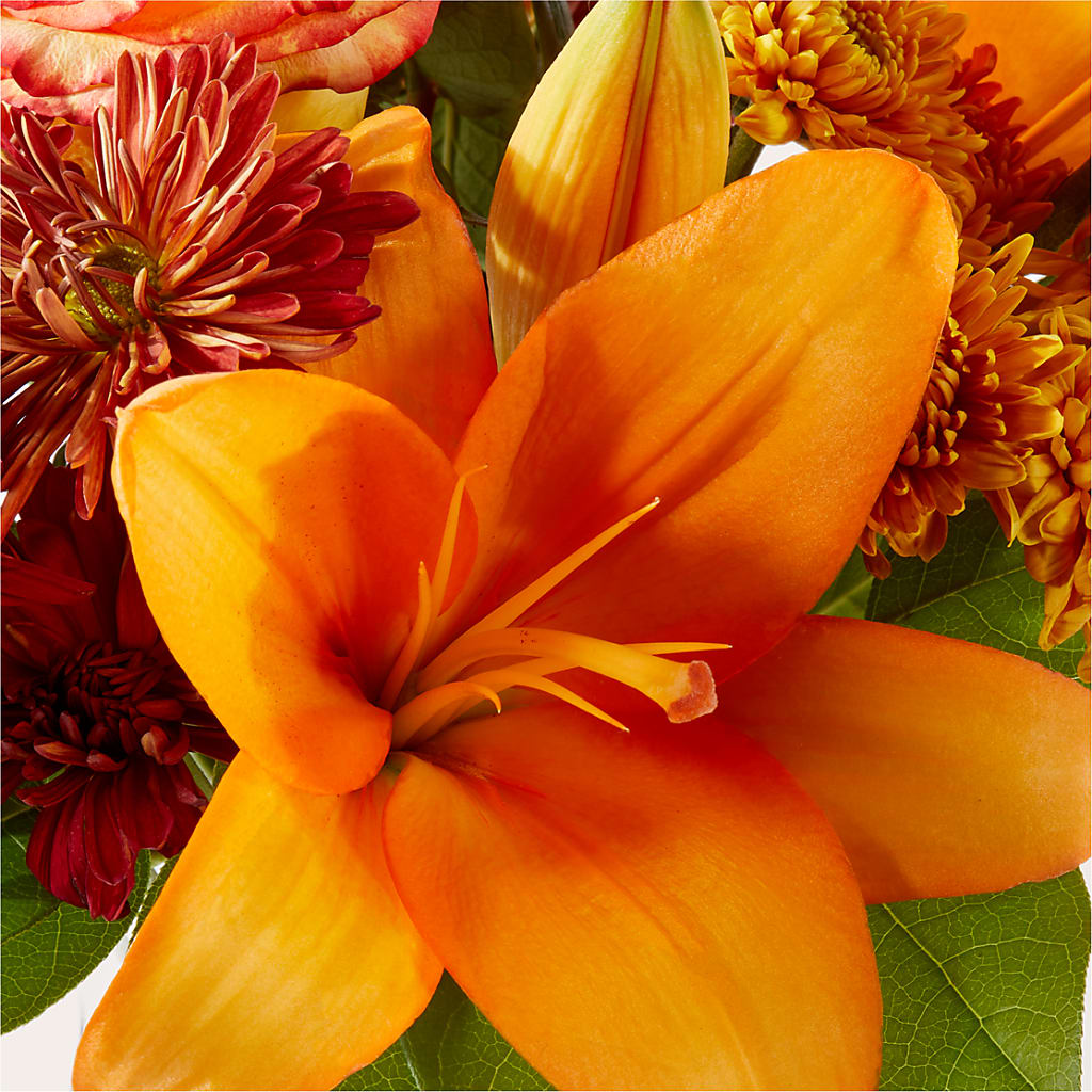 Autumnal Aroma Bouquet –  Floreria Reno, Reno NV