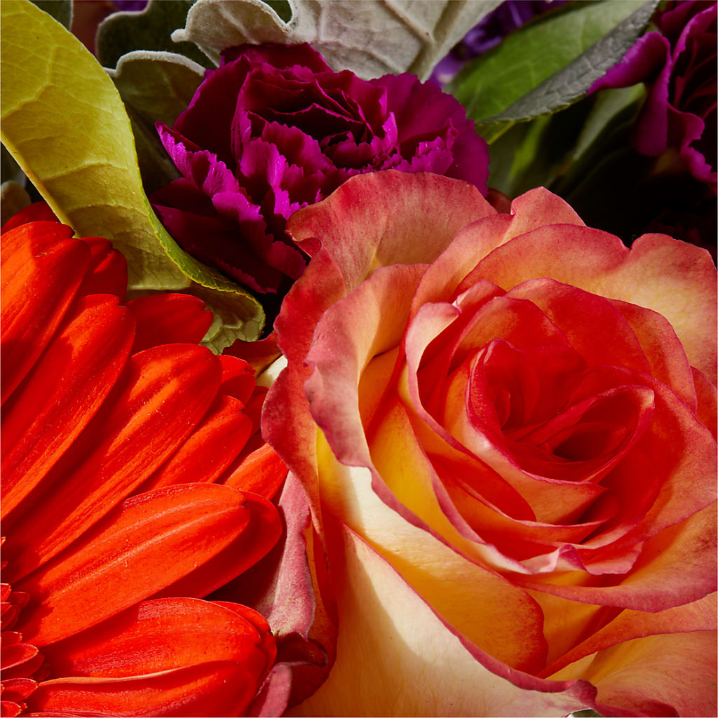 Sangria Bouquet –  Floreria Reno, Reno NV