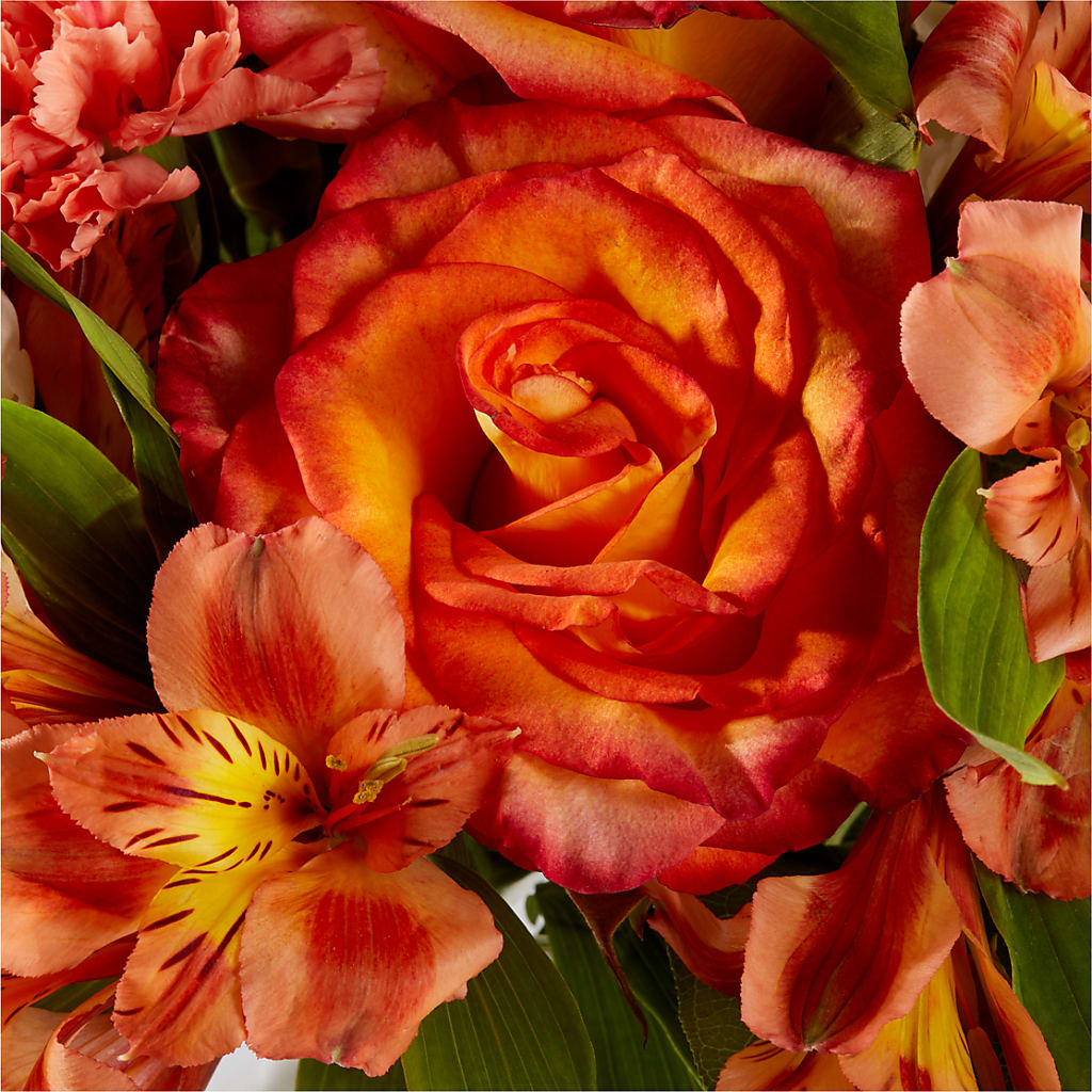Apricot Glow Bouquet –  Floreria Reno, Reno NV