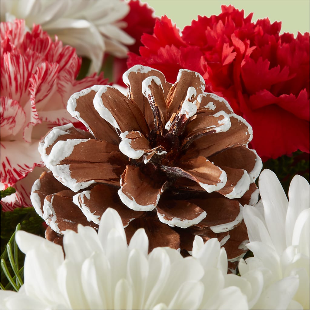 Candy Cane Lane Bouquet –  Floreria Reno, Reno NV