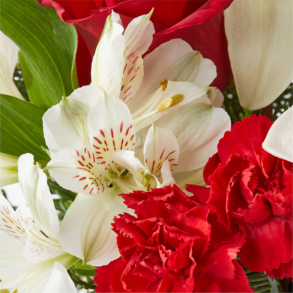 Holiday Season Bouquet –  Floreria Reno, Reno NV