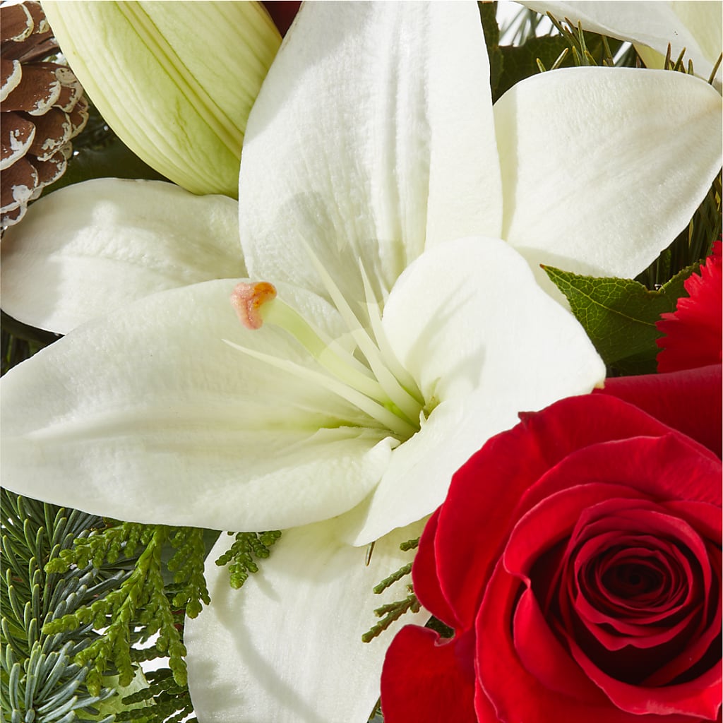 Oh So Jolly Bouquet –  Floreria Reno, Reno NV