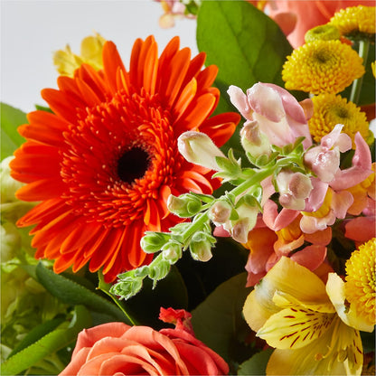 Autumn Sunshine Bouquet –  Floreria Reno, Reno NV
