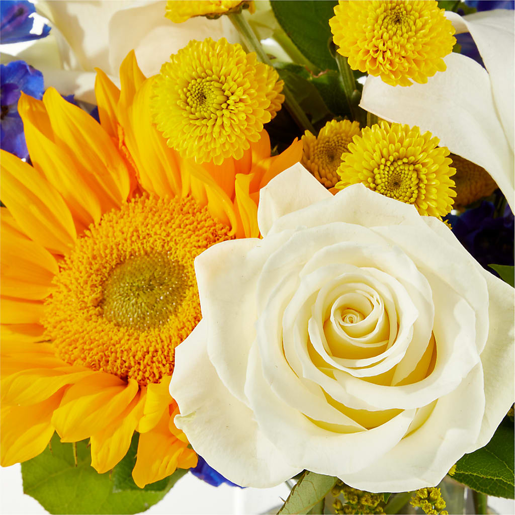 Stargazing Bouquet –  Floreria Reno, Reno NV