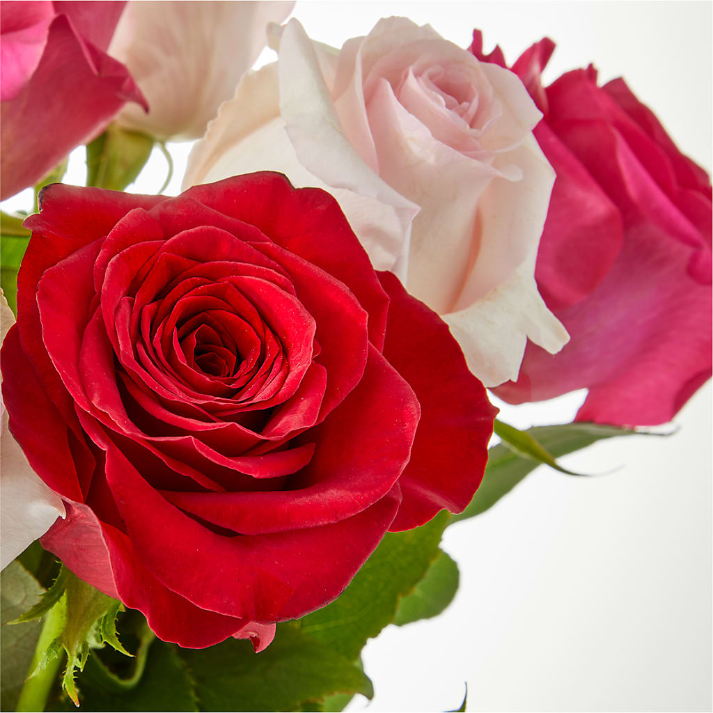 Charming Rose Bouquet –  Floreria Reno, Reno NV