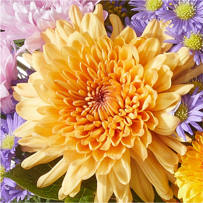 Countryside Bouquet –  Floreria Reno, Reno NV