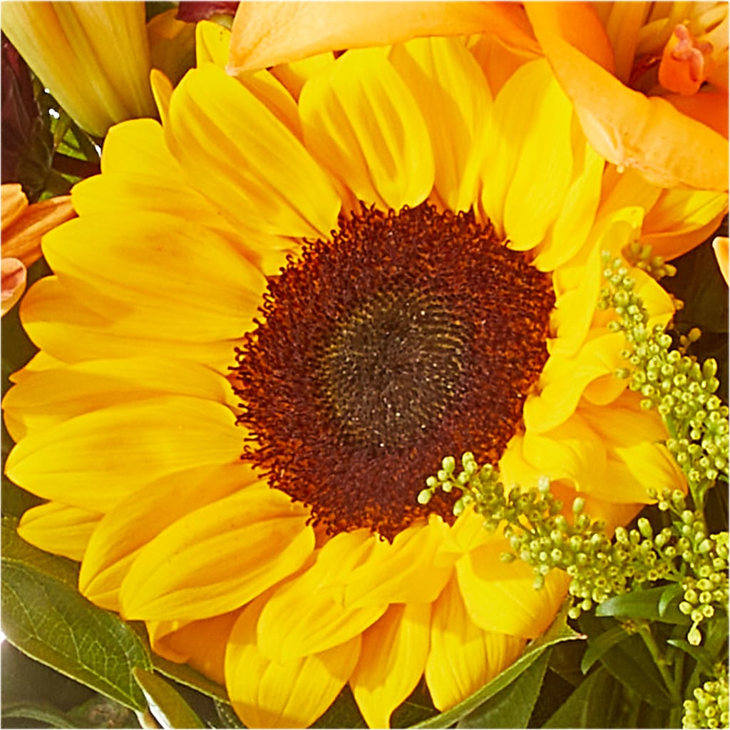 Seasons Change Bouquet –  Floreria Reno, Reno NV