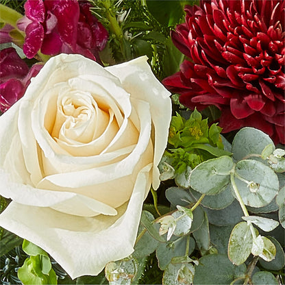 Cranberry Fizz Bouquet –  Floreria Reno, Reno NV