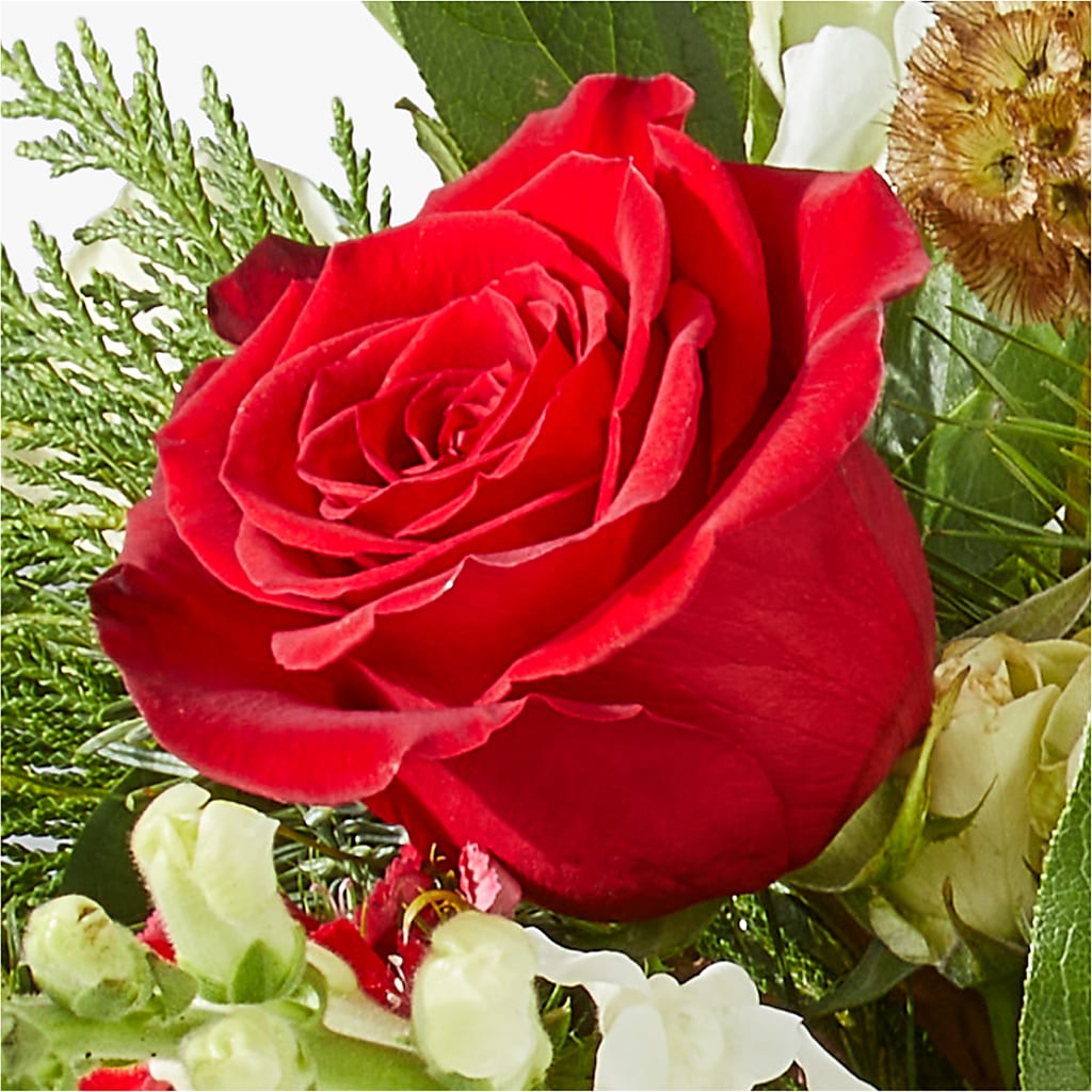 Deck the Halls Bouquet –  Floreria Reno, Reno NV