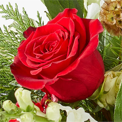 Deck the Halls Bouquet –  Floreria Reno, Reno NV