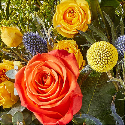 Disco Bouquet –  Floreria Reno, Reno NV