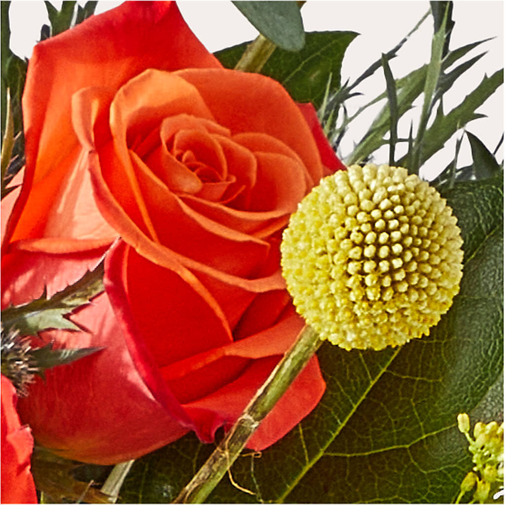 Disco Bouquet –  Floreria Reno, Reno NV