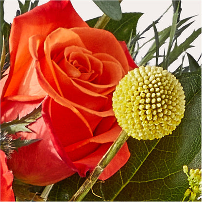 Disco Bouquet –  Floreria Reno, Reno NV