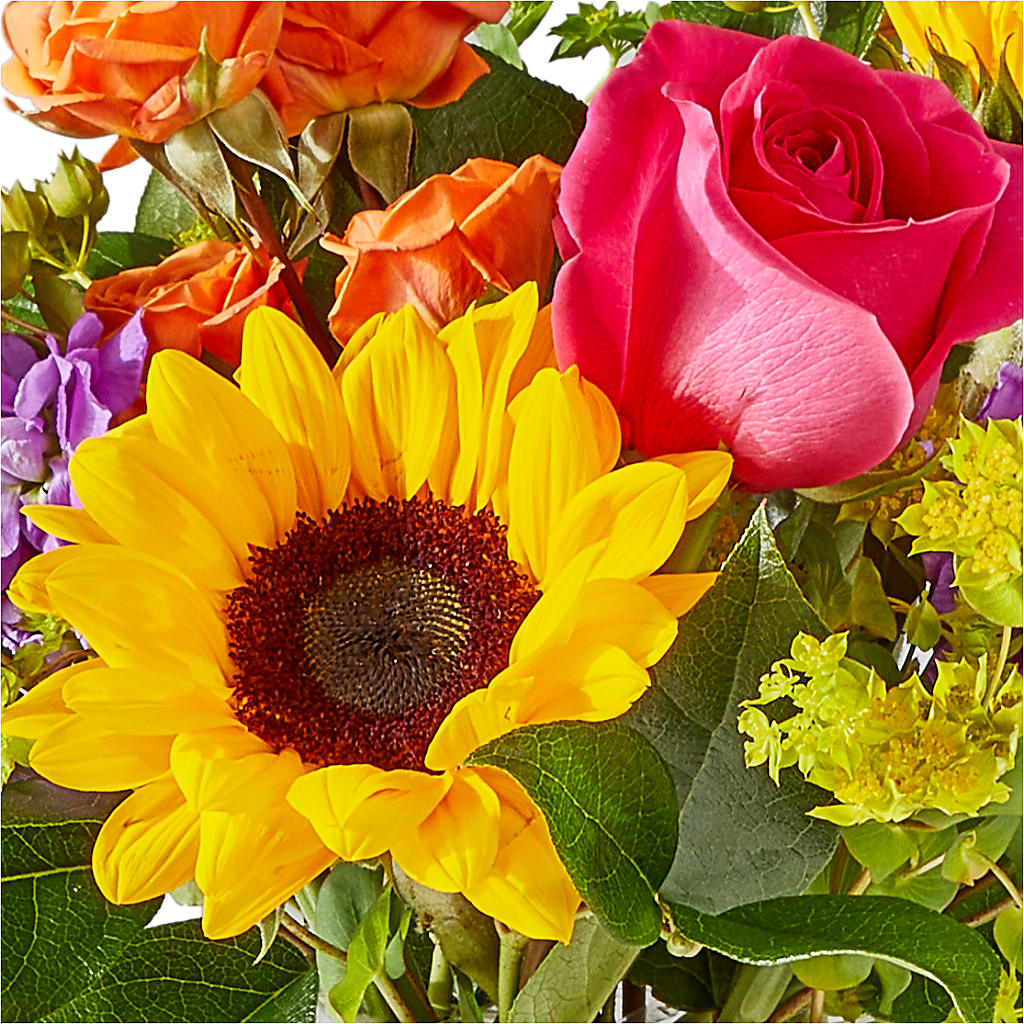 Vibrant Greetings Bouquet –  Floreria Reno, Reno NV