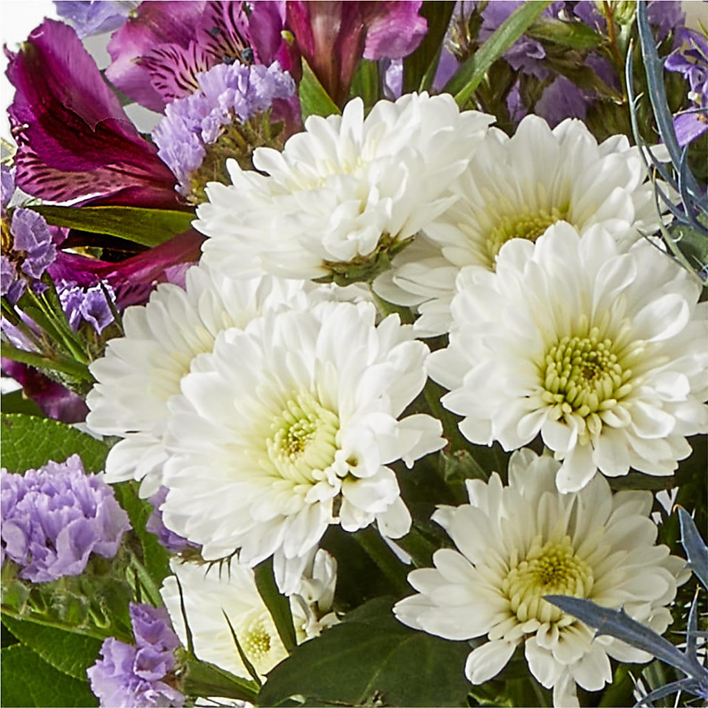 Shooting Star Bouquet –  Floreria Reno, Reno NV