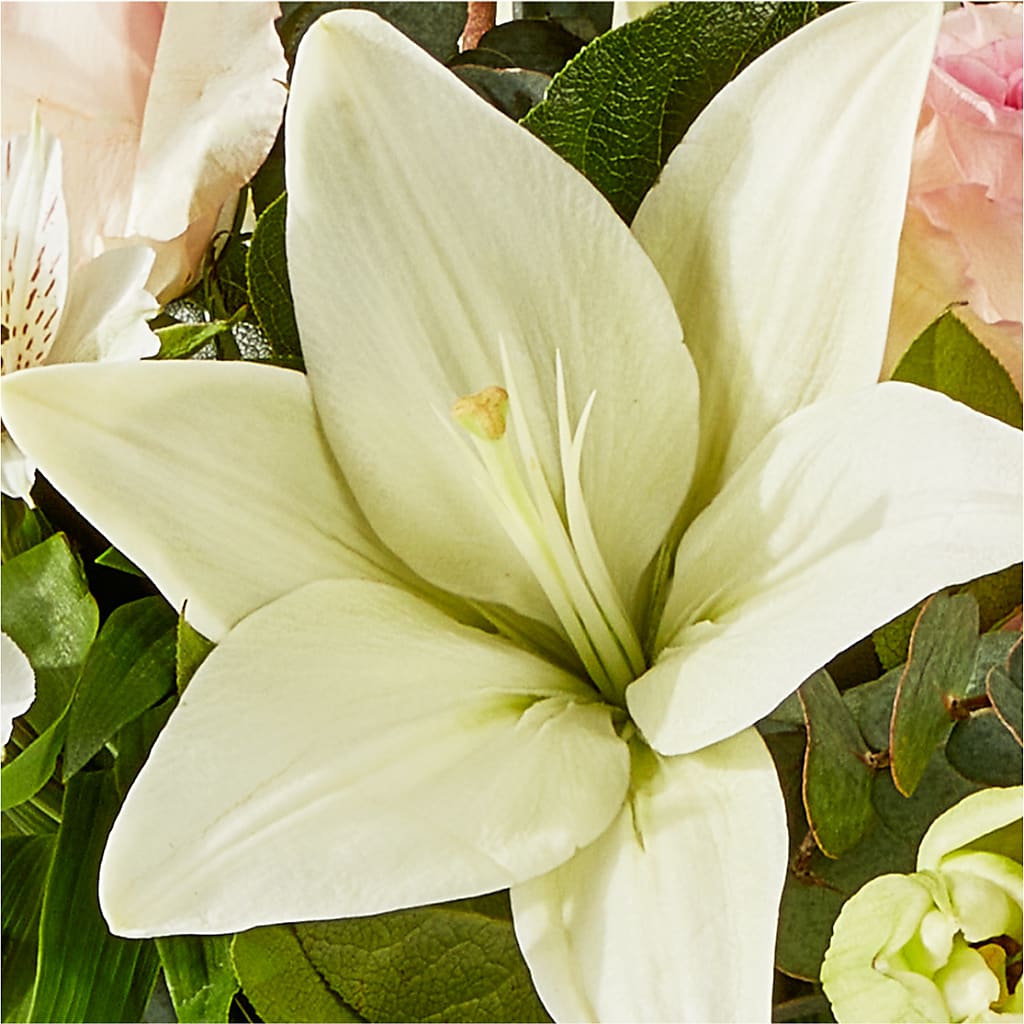 Ballet Slippers Bouquet –  Floreria Reno, Reno NV